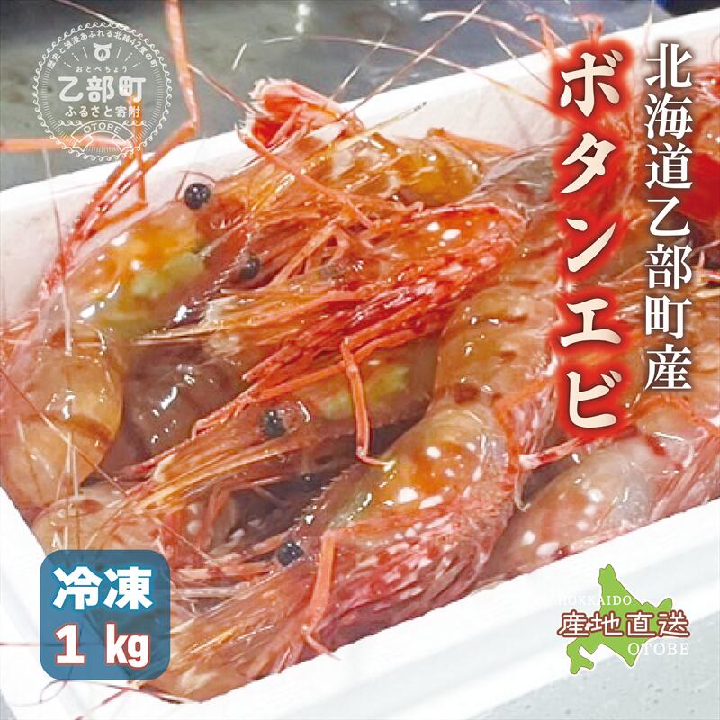【ふるさと納税】＜ボタンエビ(冷凍) 1kg＞甘く濃厚な味わい！ 北海道 道産 国産 乙部町産 ぼたんえび 牡丹海老 海老 日本海 天然 魚介類 新鮮 希少 お刺身 エビチリ 漁師直送 産地直送 送料無料