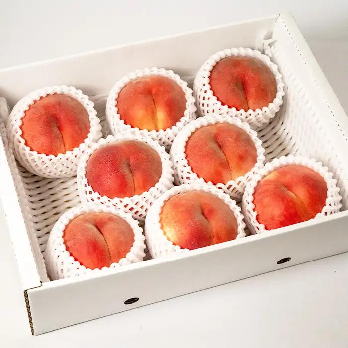 [ご家庭用]やまがたの桃 (白桃) 品種お任せ「柔らかくなる桃」9月 優品 約3kg(6～12玉程度) 【令和8年産先行予約】FS23-812 くだもの 果物 フルーツ 山形 山形県 山形市 2026