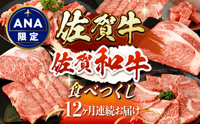 【ANA限定】【12回定期便】佐賀牛・佐賀和牛 食べつくし定期便 プレミアムコース【一ノ瀬畜産】 [NAC207]