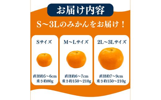 温州みかん 10kg　【 蜜柑 小さい こだま 大玉 みかん 温州みかん 宮川早生 早生みかん 人気 果物 農家直送 産地直送くだもの フルーツ ミカン 果汁 国産 特産品 蛇石下ノ坂農園 静岡県 伊