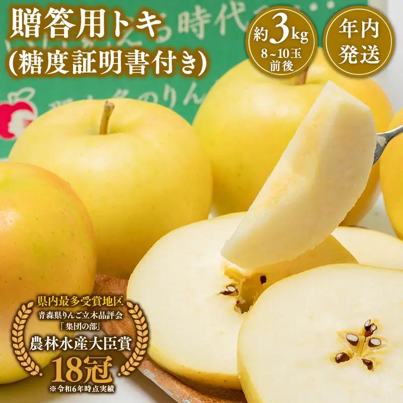 りんご  贈答用 トキ 約3kg 【hi-0005-017】
