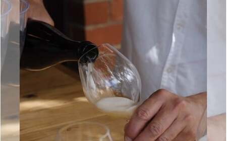 蒜山産クラフトビール 375ml×4本セット / 地ビール 蒜山 お酒 ひるぜん お取り寄せ 岡山県 真庭市【tmizu001-01】