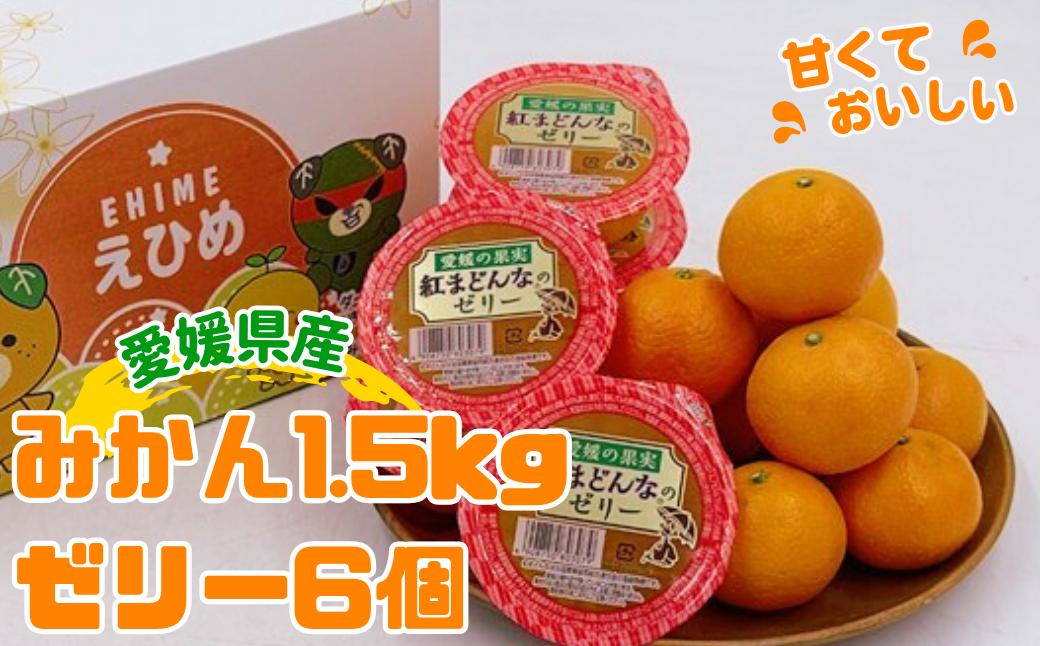ハウスみかん&紅まどんな?のゼリー 【7月下旬から順次発送予定】 みかん ゼリー 人気 数量限定 柑橘 愛媛 伊予市｜C126