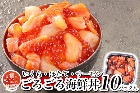 [12月17日決済分まで年内配送]いくら・ほたて・サーモンのごろごろ海鮮丼セット×10P F-81003