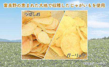 ポテトチップス 北海道 ふらの産 ふらのっち うすしお ガーリック 詰め合わせ セット ふらの農業協同組合 食べ比べ じゃがいも スナック スナック菓子 ポテトチップ 芋 菓子 お菓子 おやつ 箱 農