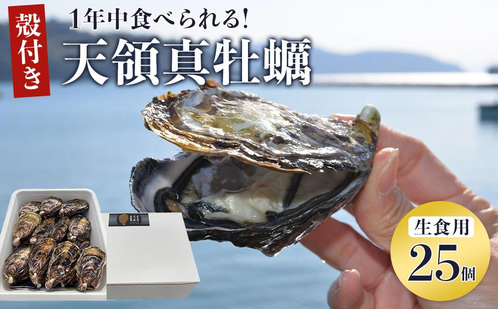 
小豆島 天領真牡蠣 (殻付き生食用) 25個セット
