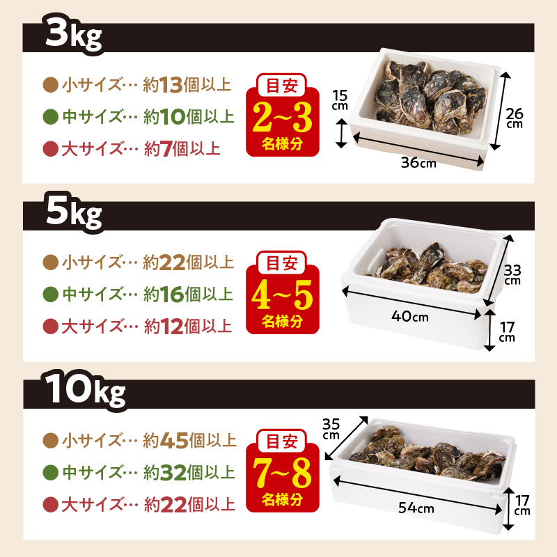 延岡産天然岩牡蠣（生食用）5kg（中）（2024年4月1日から発送開始）　N036-B306