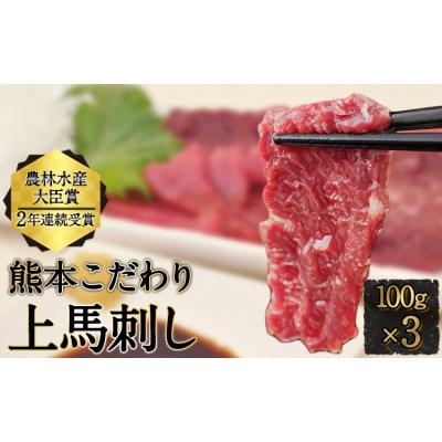 ふるさと納税 氷川町 馬刺し 上赤身 ブロック 熊本肥育 たれ付き100g×3《3-7日以内に出荷予定(土日祝除く)》