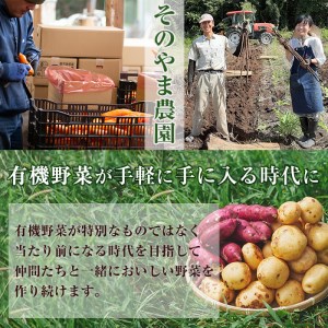 y161 ≪訳あり・数量限定≫湧水町産有機にんじん(約10kg) 国産 九州産 鹿児島産 有機野菜 有機栽培 にんじん 人参 ニンジン キャロットジュース 野菜 やさい おかず 旬 わけあり 訳アリ 