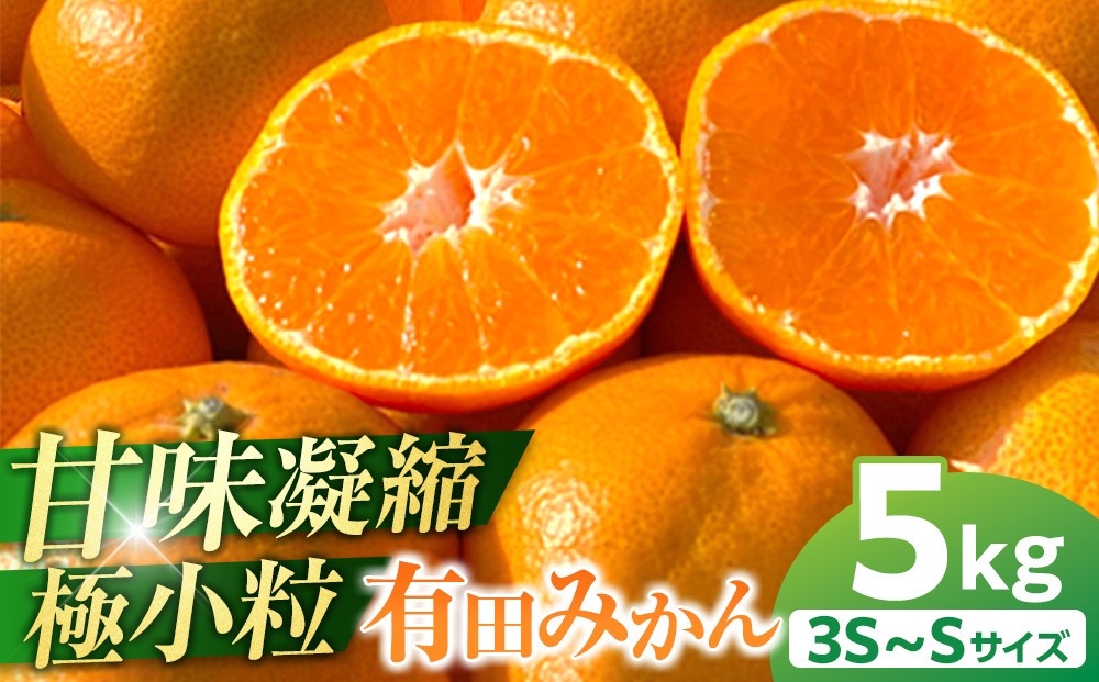 
                  完熟 小粒 有田みかん 5kg 甘味凝縮 和歌山県産 産直45年 武内園
                