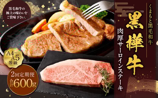 【2回定期便】黒樺牛 肉厚サーロインステーキ 約300g×1パック 計約600g 肉厚 サーロイン ステーキ サーロインステーキ 黒毛和牛 和牛 牛肉 牛
