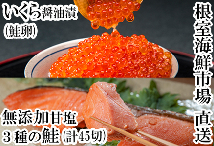 無添加天然甘塩鮭3種各15切、いくら醤油漬け(鮭卵)70g×2P B-28043