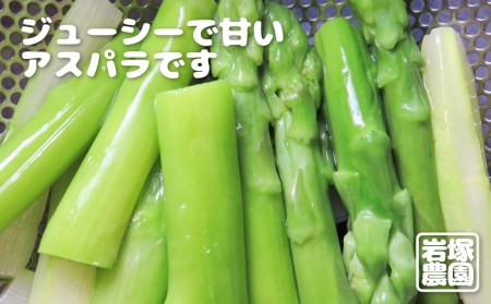 《先行予約》【2024年5月上旬～8月末発送】飛騨産アスパラガス Lサイズ 2kg 岩塚農園 春 夏 野菜 BBQ[Q568] syun70