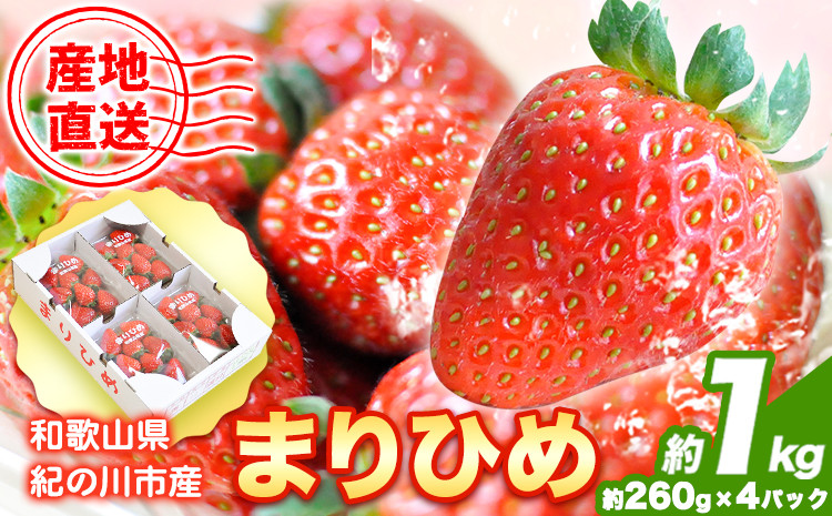 
                  【先行予約】和歌山県紀の川市産 まりひめ 約1kg(約260g×4パック) ときわオンライン《2月上旬-5月上旬頃出荷》和歌山県 紀の川市 フルーツ 果物 苺 いちご イチゴ まりひめ 送料無料
                