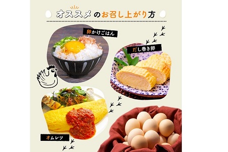 【定期便】 京都 こだわり たまご くろ丹波 30個 × 6ヶ月 定期便 ( 卵 たまご 濃い 玉子 セット 玉子焼き 卵焼き 毎月 6か月 定期 6回 お届け 卵かけご飯 ゆで卵 鶏卵 卵黄 丹波