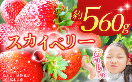 【栃木県共通返礼品】【2026年先行予約】スカイベリー 280g×2P| 年始発送 果物 くだもの フルーツ 野菜 やさい ヤサイ 苺 イチゴ いちご スカイベリー 新鮮 甘い 数量 限定 美味しい 果物 共通返礼品 フルーツ デザート 栃木県 那珂川町 送料無料