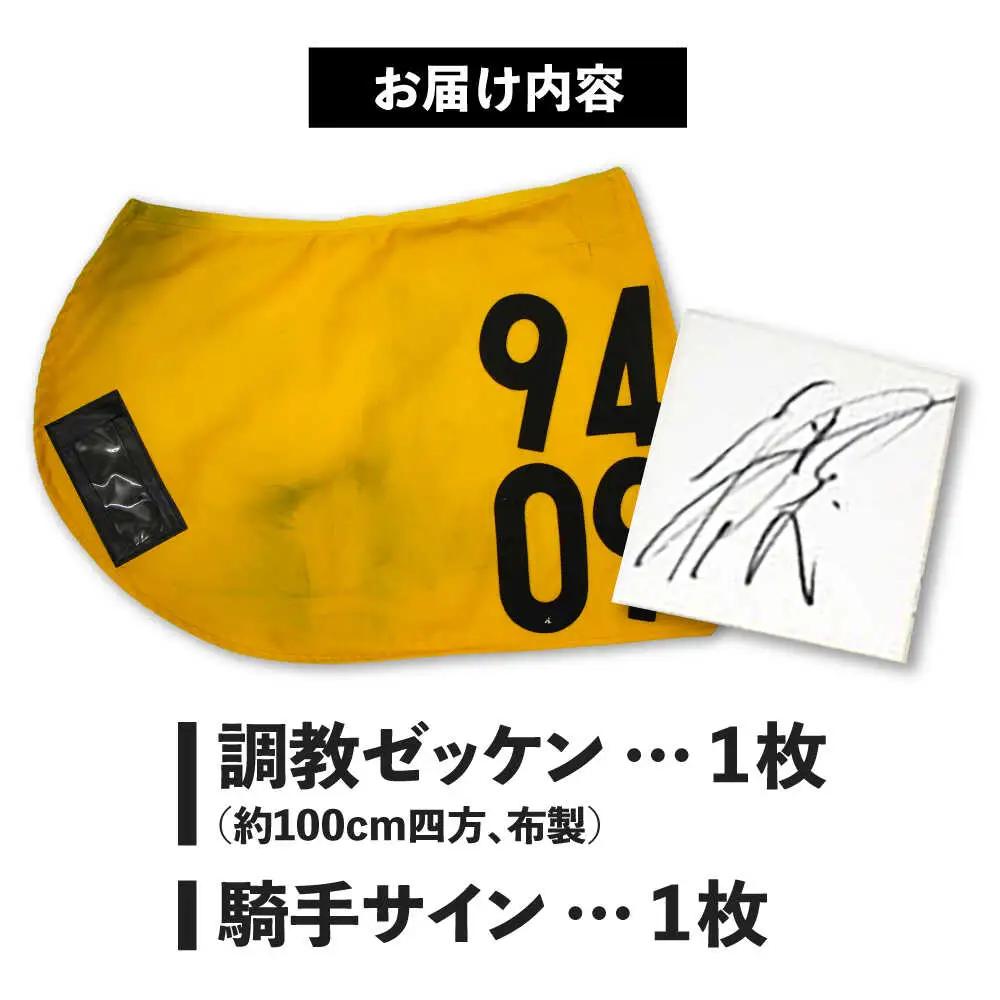 【JRA】調教用ゼッケンと騎手サイン色紙 (栗東カラー) BIAM003 競馬
