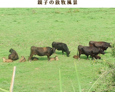 千屋牛 モモ肩バラスライス(約300g) 牧場直送便 A5