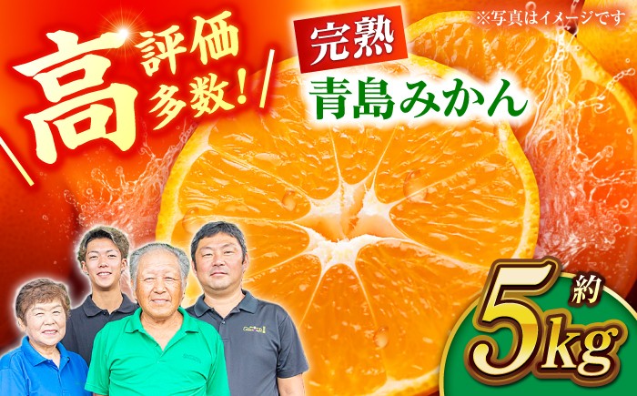
                   みかん 【先行予約】完熟 青島 みかん 約5kg【合同会社 社方園】ミカン 蜜柑 温州みかん 熊本県産 山鹿 フルーツ 果物 国産 お取り寄せ 産地直送 [ZBZ003]
                
