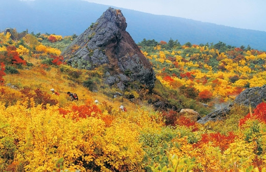 須川の紅葉