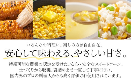   朝採りスイートコーン（20本）