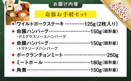 『お手軽セット』 豚肉 ポークステーキ ハンバーグ 詰め合わせ お取り寄せ 国産 ギフト 冷凍 沖縄市 / DELICATESSEN NUCHIBUTA[BCAR006]