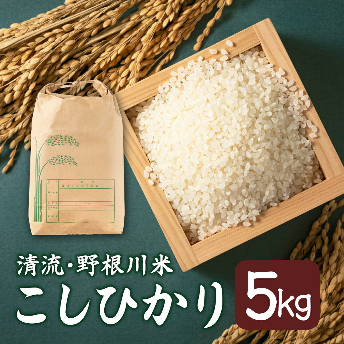 【ふるさと納税】野根川米5kg こしひかり【MZ002】東洋町産 国産 米 白米 精米 コメ こめ もっちり 四国 お取り寄せ 家庭用 自宅用 贈り物 送料無料