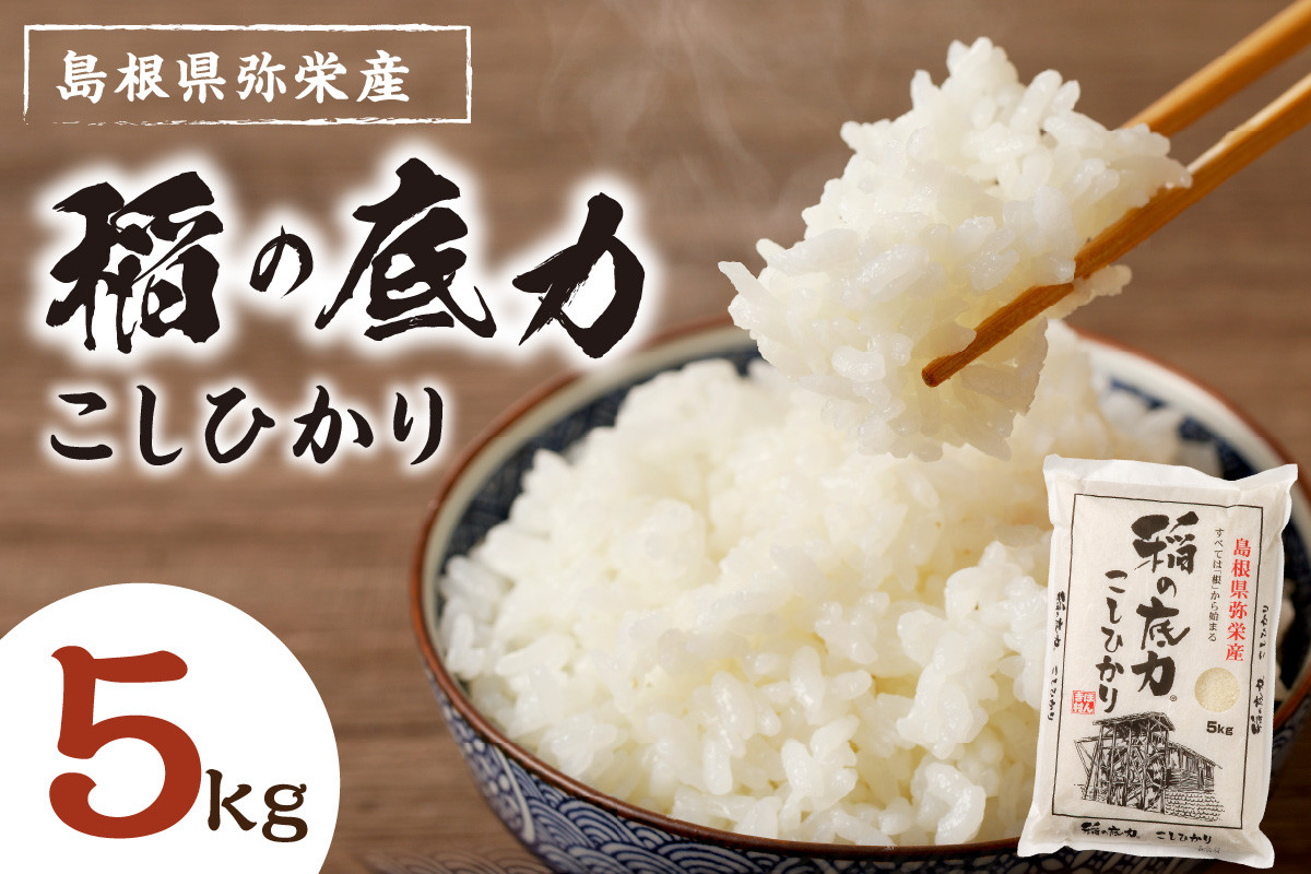 
【令和6年産】浜田産「稲の底力こしひかり」 5kg　米 お米 こしひかり 新生活 応援 準備 5キロ 1等米【969】
