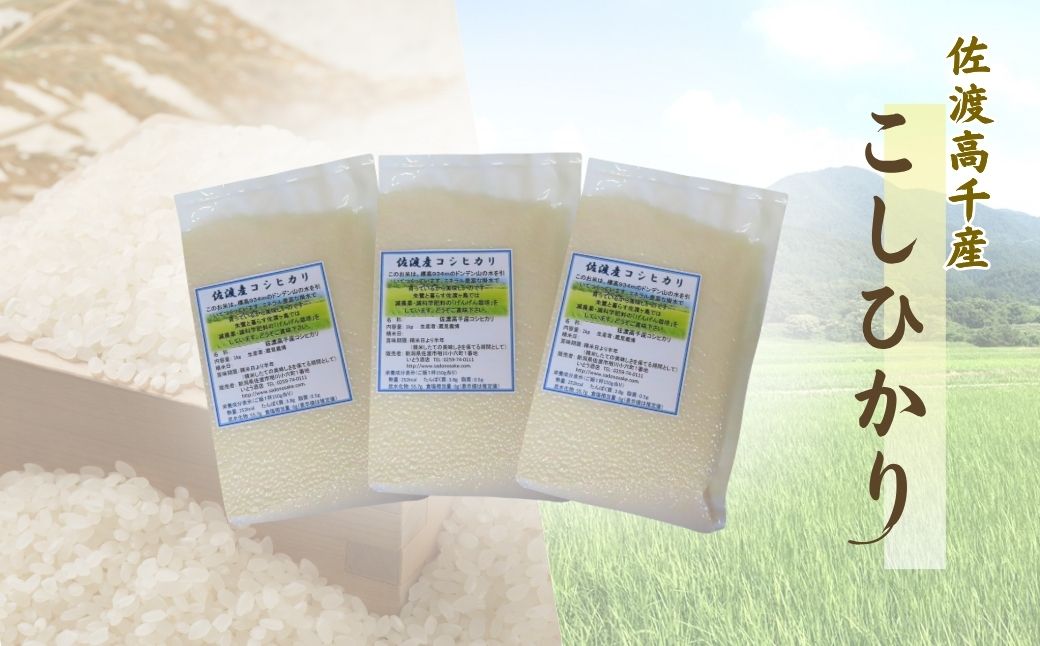 【令和7年産】佐渡産高千産こしひかり 真空包装(精米)1kg×9袋195956-0011