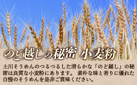 岩手名物「土川そうめん」4㎏（200ｇ×20袋） 乾麺 麺類  素麺 干しそうめんギフト