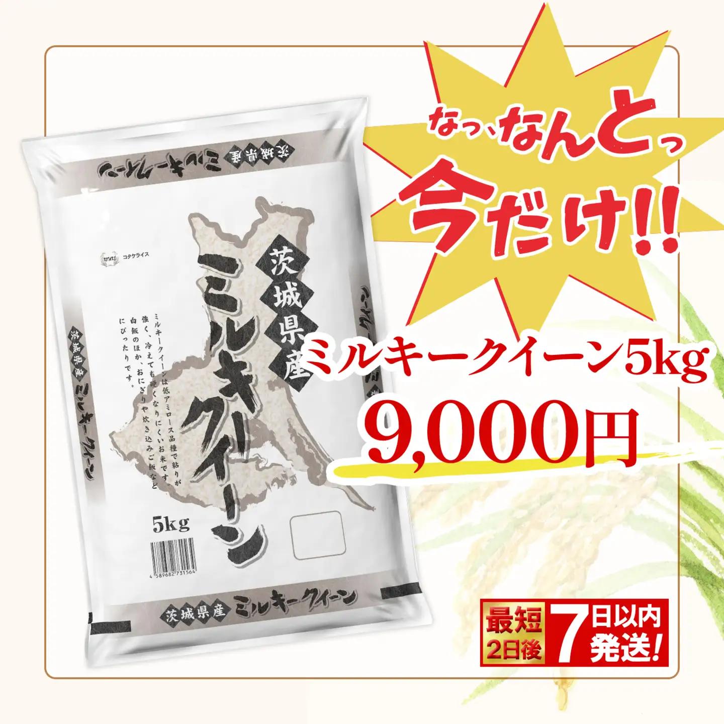 最短発送 令和7年産 白米 ミルキークイーン 5kg 茨城県産 米 K2660