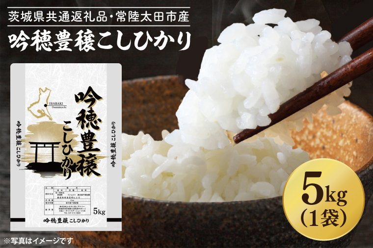 ＜令和6年産＞ 新米 吟穂豊穣こしひかり 5kg 精米 特別栽培 (茨城県共通返礼品・常陸太田市産) 新米 コシヒカリ こしひかり 米 ごはん コメ お米 白米 国産 茨城県産<br><br>