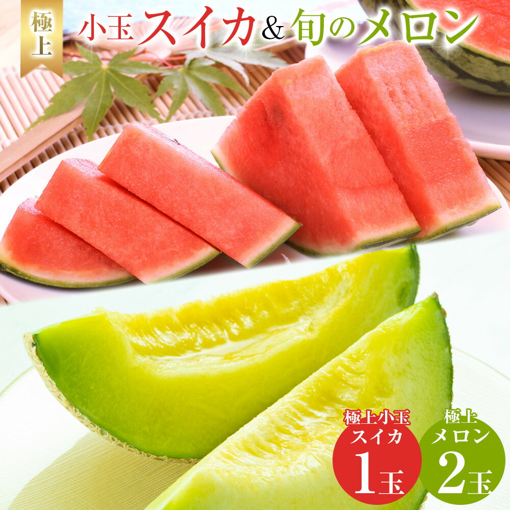 【ふるさと納税】254.【先行予約】極上小玉スイカと旬のメロン2玉セット ※6月上旬～7月下旬頃に順次発送予定 | 西瓜 スイカ 小玉西瓜 メロン セット商品 果物 フルーツ くだもの 鳥取県 北栄町 おすすめ 人気 送料無料
