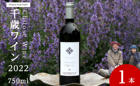 千歳ワイン2022（Chitose Wine）750ml 1本※ギフトボックス無し