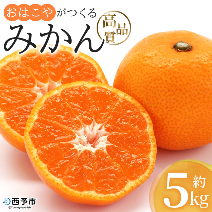 ＜おはこやがつくる 高品質みかん 約5kg（S～Lサイズ）＞ 果物 くだもの フルーツ 柑橘 みかん ミカン 蜜柑 まろやか 絶妙 特産品 西宇和 愛媛県 西予市 約５kg（寄付額12,000円）
