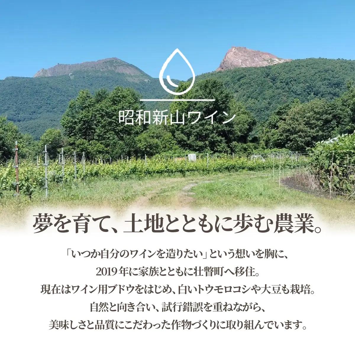昭和新山ワイン Montagne 2024 無濾過(モンターニュ） 白ワイン 辛口 750ml 1本 SBTQ013