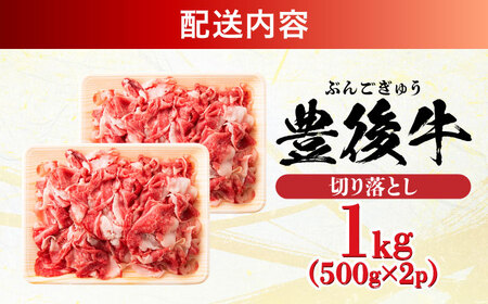 【期間限定】 小分けで便利！おおいた豊後牛 牛肉 切り落とし 1kg (500g×2)  日田市 / 株式会社MEAT PLUS　肉 牛肉 和牛[AREI003]