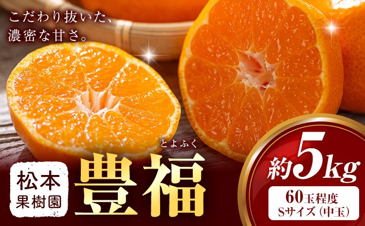 
                  みかん 豊福 5kg 松本果樹園 《10月中旬-10月下旬出荷予定》 熊本県 苓北町 スイーツ デザート 果物 ミカン 蜜柑
                