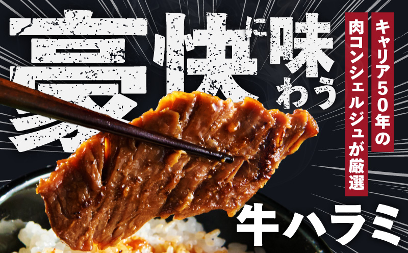 ガツめし牛ハラミ 1.2kg 追いダレ漬け【300g×4 ハラミはらみ 牛はらみ 牛肉 訳アリ 不揃い 小分け 大阪 泉佐野 大阪府 泉佐野市】