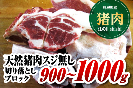 江の川shishi 切り落とし ブロック 900g～1000g【AI-2】｜送料無料 国産 ジビエ 天然ジビエ お肉 肉 いのしし肉 イノシシ肉 猪肉 天然猪  ロース モモ クビ肉 バラ ブロック ブロックセット セット 煮込み用 角煮 焼肉 焼き肉 BBQ 冷凍 希少｜