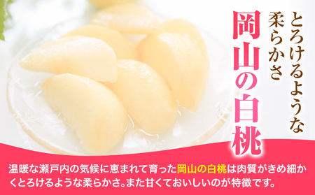 白桃 岡山 6玉 ウィズフラワーホールディングス《7月上旬-9月上旬頃出荷》岡山県 浅口市 桃 もも フルーツ 旬 果物 国産 岡山県産 送料無料 冷蔵【配送不可地域あり】