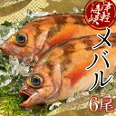 【ふるさと納税】小泊港水揚げ 津軽海峡メバル 姿6尾 ※下処理済み 【卓立水産】魚 海鮮 ウスメバル メバル めばる 津軽海峡 1尾 丸ごと 津軽海峡 高級 海産物 刺身 煮付け 中泊町 青森 F6N-027