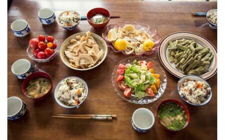 『定期便全3回』栽培期間中に農薬不使用の生姜200gと旬の野菜詰め合わせ10～13品目 旬の野菜 定期 生姜 野菜 健康 詰め合わせ セット 採れたて おいしい 美味しい 自然 新鮮 故郷納税 ふるさ