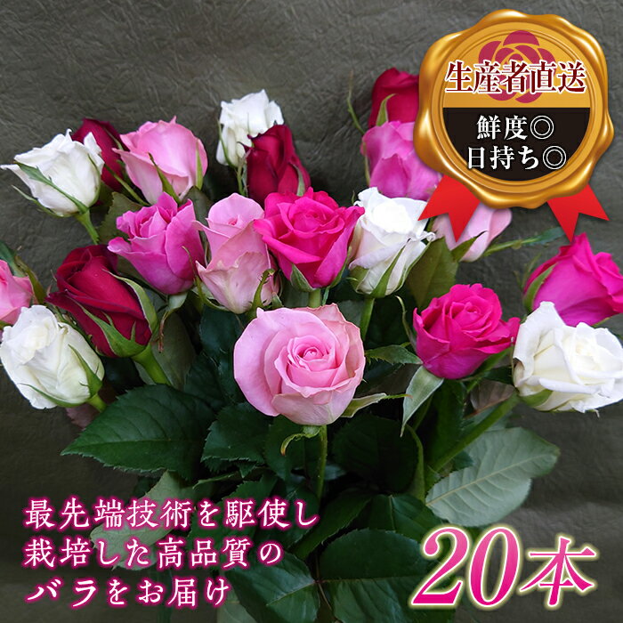 バラの花束(約20本)