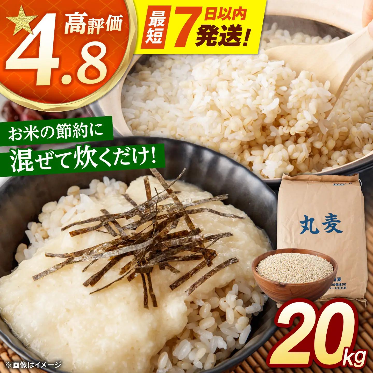 丸麦 20kg [AHBU001] 麦
