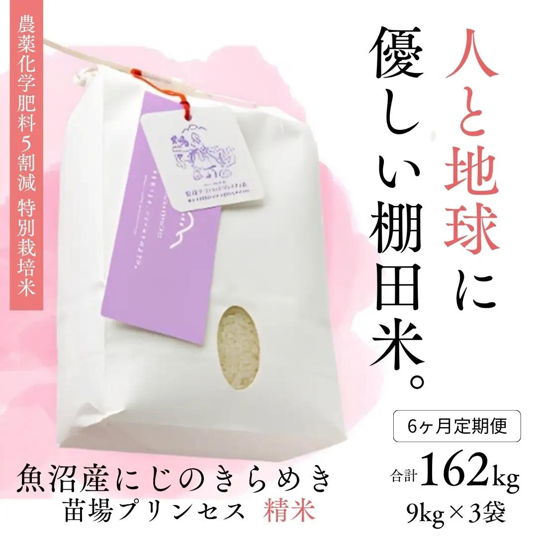 【令和8年産先行予約】【6ヶ月定期便】【農薬化学肥料5割減】魚沼産にじのきらめき苗場プリンセス特別栽培米 精米27kg(9kg×3) 計162kg | 津南町 にじのきらめき