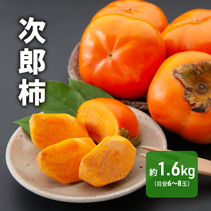 【ふるさと納税】果物 次郎柿 約1.6kg 6～8個 【2026年11月上旬より順次発送】 くだもの かき 固め シャクシャク 旬 静岡県浜松市 フルーツ　お届け：2026年11月上旬～2026年11月下旬