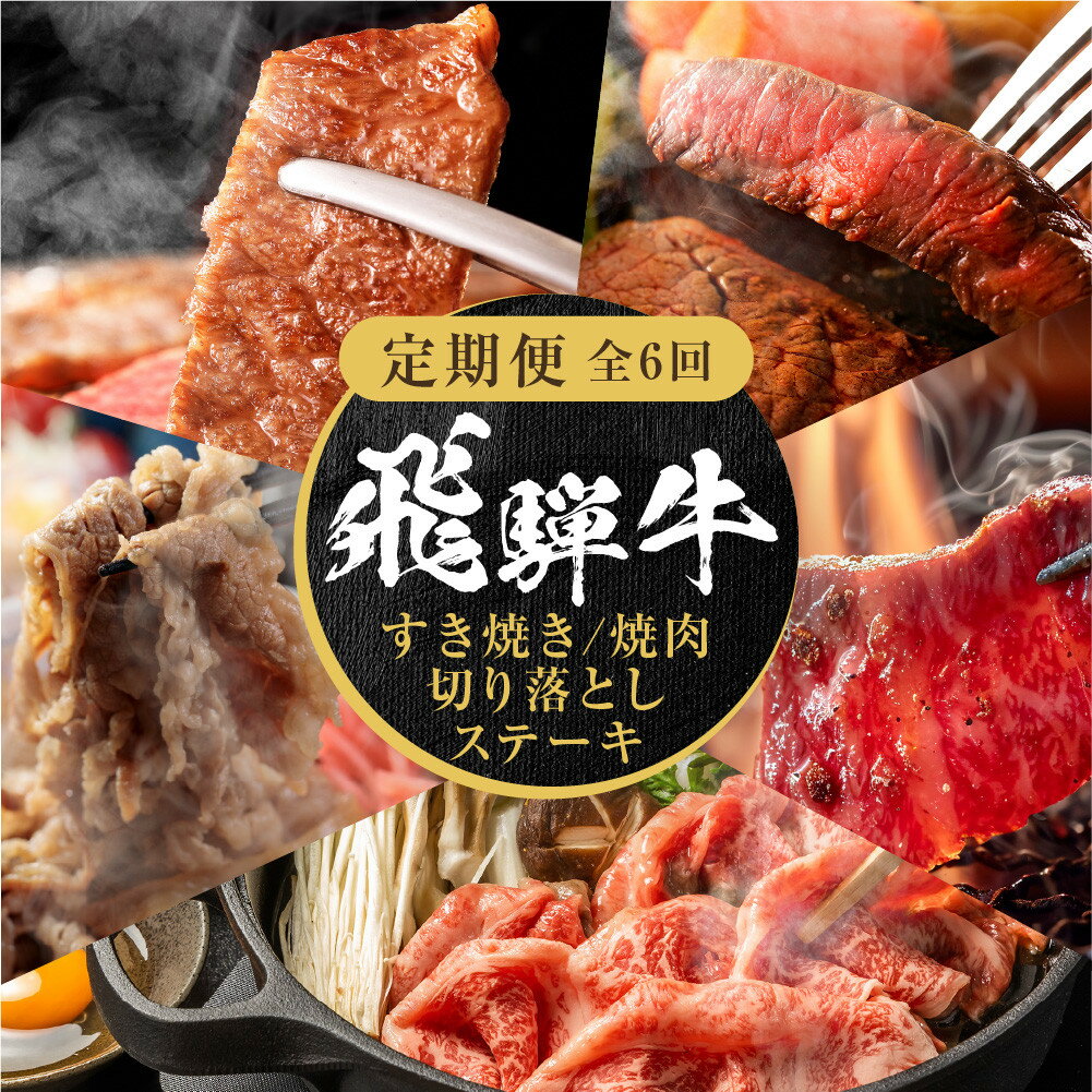 【ふるさと納税】【定期便】全6回 飛騨牛 バラエティ（ステーキ /焼肉 / すき焼き/切り落とし） | 肉 お肉 黒毛和牛 和牛 個包装 小分け 牛肉 お取り寄せ 飛騨高山ミート MZ105