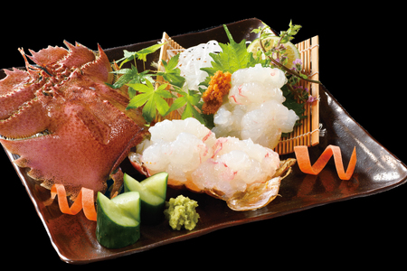 サーロインステーキ とんかつ ヒラメ ウチワエビ ジェラート ヤリイカ 平戸うまかもん 定期便 [平戸瀬戸市場 長崎県 平戸市 hr42bgy420395]