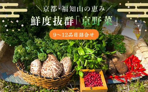 京野菜9～12品目詰合せ  ふるさと納税 新鮮 鮮度抜群 京野菜 野菜 京都府 福知山市 京都 福知山 ふるさと 奥京都